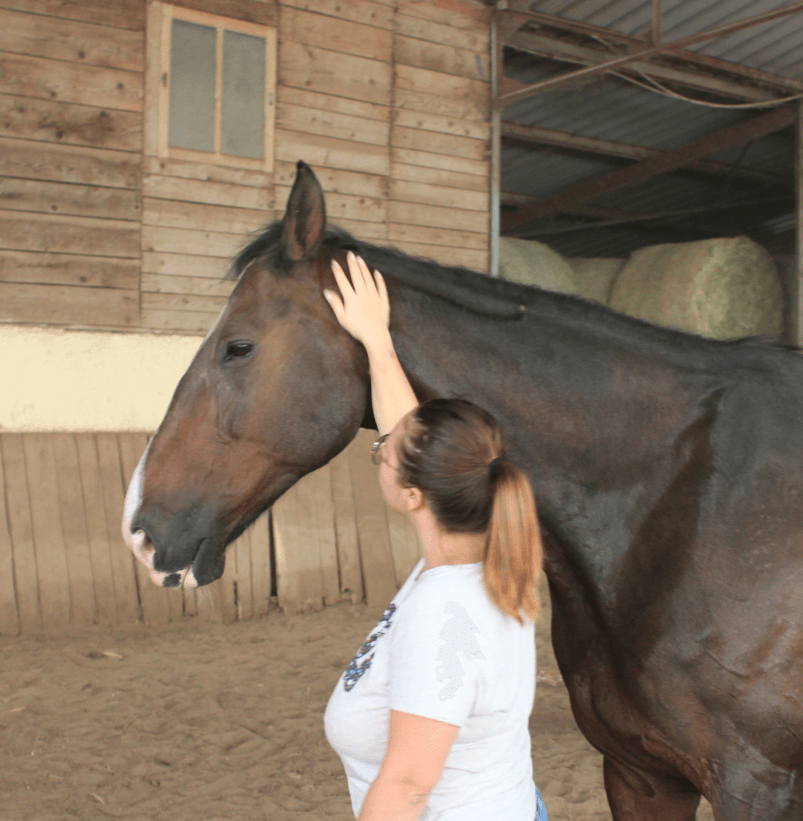 a woman petting a horse in a stable
