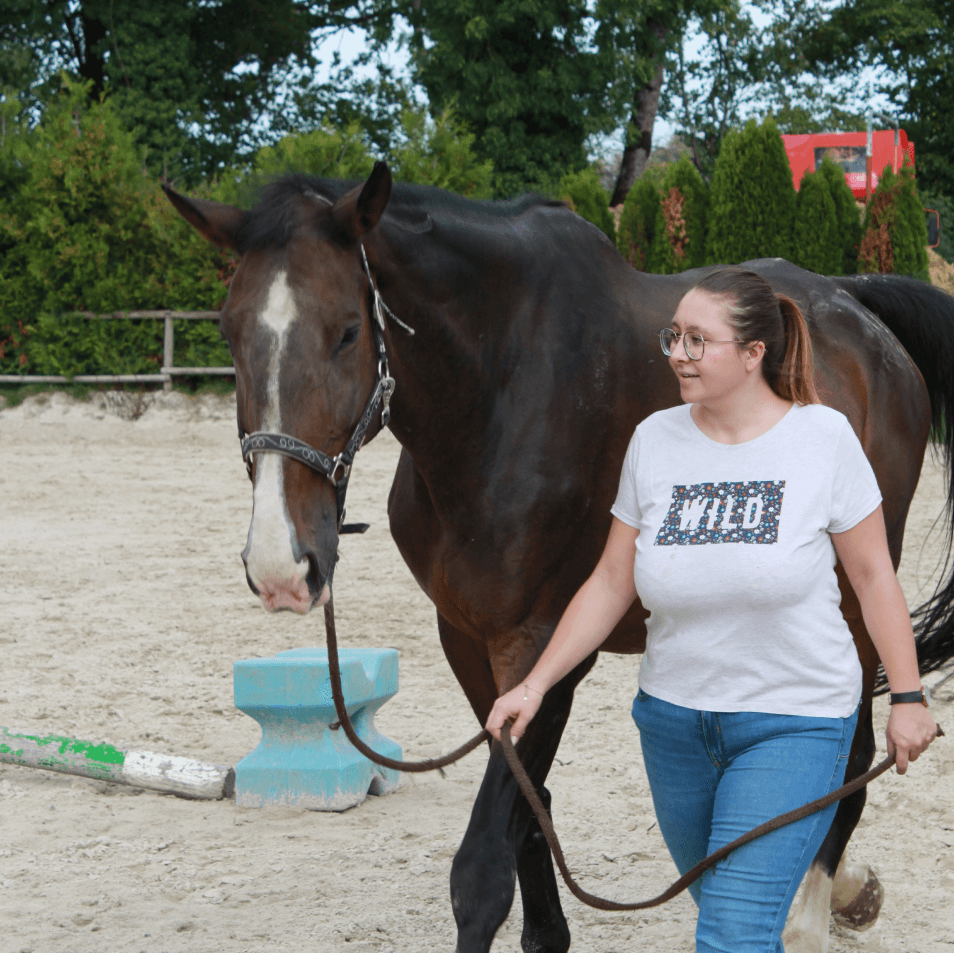 a woman walking a horse on a leash