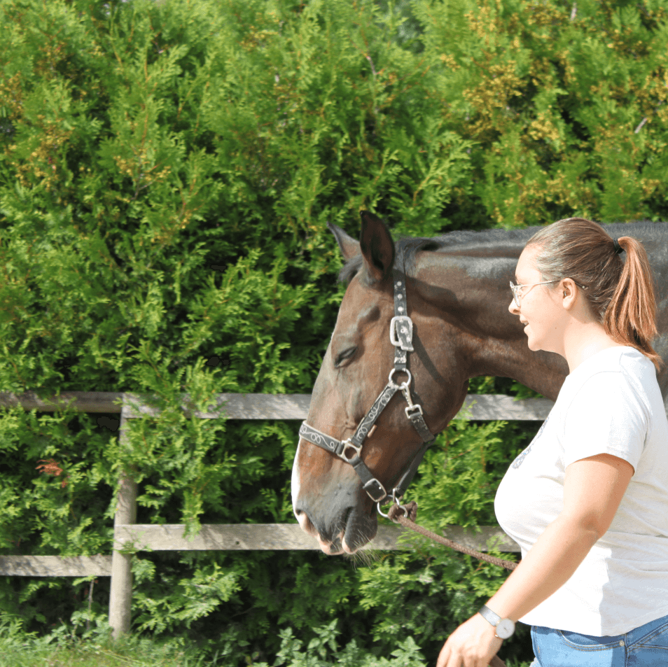 a woman standing next to a brown horse