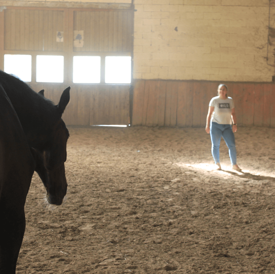a woman standing next to a horse in a barn