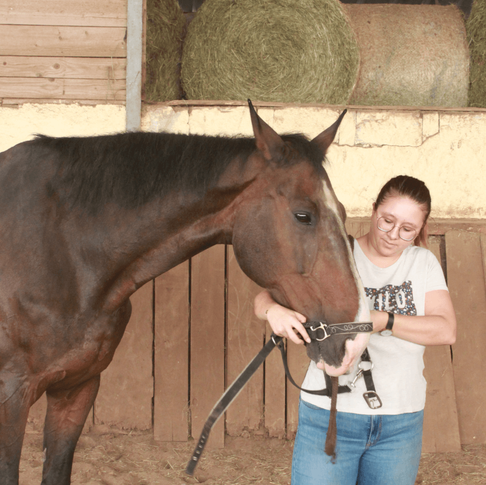 a woman standing next to a brown horse