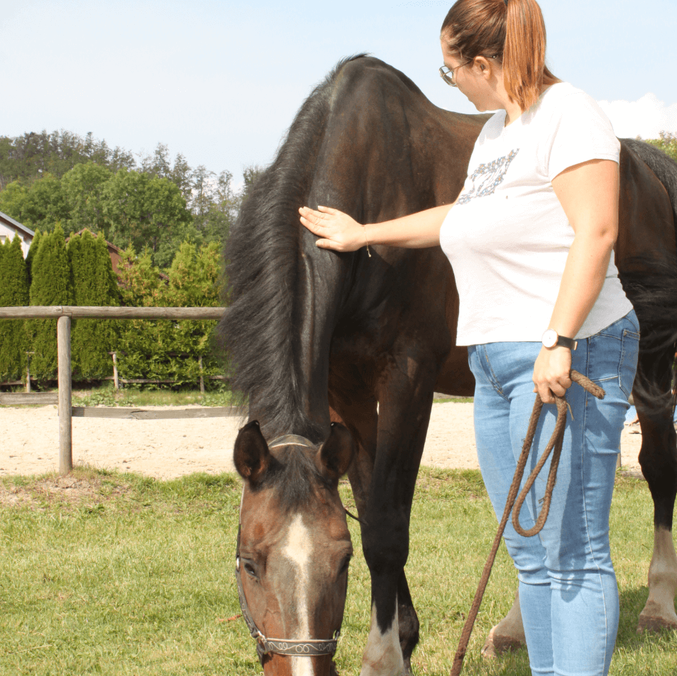 a woman standing next to a brown and black horse